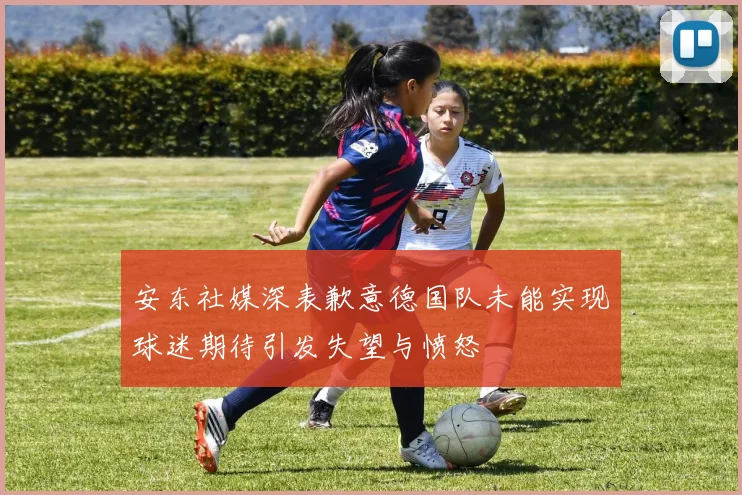 安东社媒深表歉意德国队未能实现球迷期待引发失望与愤怒