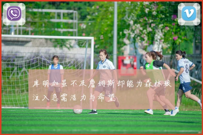 库明加虽不及詹姆斯却能为森林狼注入急需活力与希望