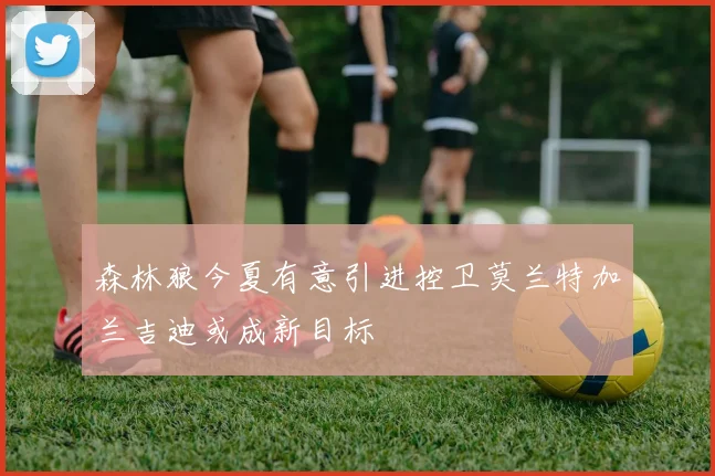 森林狼今夏有意引进控卫莫兰特加兰吉迪或成新目标